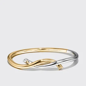 YELLOW GOLD-WHITE GOLD TIES BANGLE>Boochier Best